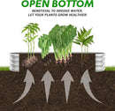 Galvanized Raised Garden Beds, 8x2x1ft Outdoor Raised Garden Boxes, Oval Large Bottomless Metal Elevated Garden Bed Planter Box for Vegetables, Fruits, Flower by GreenHaven Gardens