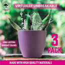 GARDENIX DECOR Self Watering Pots for Indoor Plants 3 Pack - Flower Pot with Water Level Indicator for Plants, Grow Tracking Tool - Self Watering Planter Plant Pot - Coco Coir - Purple by GreenHaven Gardens