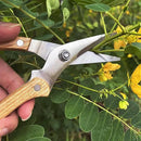 BUGUI Wood Handle Garden Shears, Long Straight Tip, All Steel Construction, Sharp, Well Designed Garden Scissors, 8" by GreenHaven Gardens