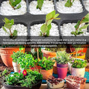 Norcal Perlite Horticultural Perlite Organic Certified Premium Screened Coarse – Garden Indoor Outdoor Plants – Soil Additive Better Aeration and Drainage - 2 Cubic Feet (62 Quarts) 1 Bag by GreenHaven Gardens