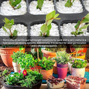 Norcal Perlite Horticultural Organic Certified Premium Screened Coarse – Garden Indoor Outdoor Plants – Soil Additive Better Aeration and Drainage - 4 Cubic Feet (103 Quarts) 1 Bag by GreenHaven Gardens