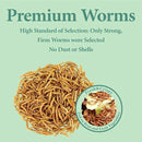 11 LBS Dried Mealworms, Non GMO, High Protein Treat for Chicken, Duck, Birds, Reptile, Hamster,Hedgehog by GreenHaven Gardens
