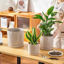 vancasso Ceramic Planters, Plant Pots for Indoor Plants, 6.25+8.25+10.25 Inch Ceramic Pots for Plants, Flower Pots with Drainage Holes (Gray, 6.25+8.25+10.25 Inch) by CozyNest Decor