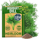 HOME GROWN 𝗨𝗦𝗔 𝗣𝗥𝗘𝗠𝗜𝗨𝗠 Dill Seeds for Planting 1,014 Bouquet Dill Seeds 𝗡𝗢𝗡-𝗚𝗠𝗢 and Heirloom Herb Seeds for Planting Outdoors, Grow Your Fragrant Dill Herb Garden (Anethum graveolens) by GreenHaven Gardens