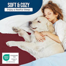 Utopia Bedding Waterproof Mattress Protector Queen Size, Premium Terry Mattress Cover 200 GSM, Breathable, Fitted Style with Stretchable Pockets (Burgundy) by TinyTreasures Baby Boutique