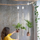 Plant Pulleys for Hanging Plants, Heavy Duty Retractable Hangers, 304 Stainless Steel Rope, Auto Plant Holder, Adjustable Climbing Hook for Garden Baskets Watering, or Bird Feeders (White-6) by GreenHaven Gardens