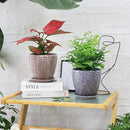 6 Inch Retro Ceramic Planter Set of 2 with Drainage Hole and Saucer for Plants, Indoor-Outdoor Garden Pots for Succulent, Orchid, and Flower (Fits Inner Pots Up to 5 Inches, Retro Peach) by CozyNest Decor