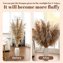 40" inch 11 Stems Natural Pampas Grass Tall Decor,Pompas Grass,Large Brown Tall Pampas Grass for Floor Vase,Wedding Decorations,Party,Boho Home Decor,and Creating a Boho Ambiance