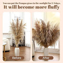 46" inch 11 Stems Natural Pampas Grass Tall Decor,Pompas Grass,Large Borwn Tall Pampas Grass for Floor Vase,Wedding Decorations,Party,Boho Home Decor,and Creating a Boho Ambiance by CozyNest Decor