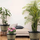 8 Inch Plant Pots, 4 Pack Flower Pot Outdoor with Drainage Holes & Trays, Retro Antique Imitation Decorative Garden Plastic Planters Pots for Plants Indoor Sets for Houseplants by CozyNest Decor