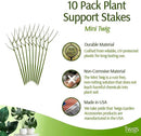 Twigs - Plant Support Stakes for Indoor, Outdoor & Climbing Plants, Gardening Supplies, Garden Accessories, Trellis & Ring Alternative, Made in USA - Peony (Light Green), 10 Pack, 12" L, Mini Twigs by GreenHaven Gardens