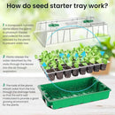 MIXC Seed Starter Tray with Lights, 2 Packs Mini Propagator Plant Grow Kit Greenhouse with Humidity Vented Domes and Base for Seeds Starting, Green by GreenHaven Gardens