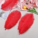 THARAHT 24pcs Red Ostrich Feathers Natural Bulk 8-10Inch 20cm-25cm for Wedding Party Centerpieces Easter Gatsby and Home Decorate Ostrich Feathers by CozyNest Decor