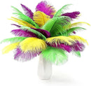 THARAHT Mix Colour Ostrich Feathers 12pcs Natural Bulk 10-12Inch 25cm-30cm for Wedding Party Centerpieces Easter Gatsbi and Home Decoration Feathers by CozyNest Decor