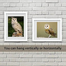 VCK 18x24 Poster Frames 3 Pack White MDF Wood and Polished Plexiglass Frame,Display Pictures in Horizontal and Vertical… by CozyNest Decor