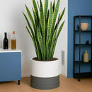 D'vine Dev 14 Inch Ceramic Planter Pot with Drainage Hole and Saucer, Indoor Cylinder Round Planter Pot, White/Speckled Grey, 94-O-G-6 by GreenHaven Gardens