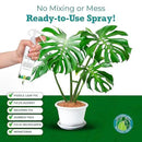 Leaf Armor Spray for Houseplants – Protects Against Fungal Leaf Spots, Bacteria, Pathogens & Yellowing | Gentle & Natural Phosphite Formula | Ready-to-Use | Made in USA – 8 oz by GreenHaven Gardens