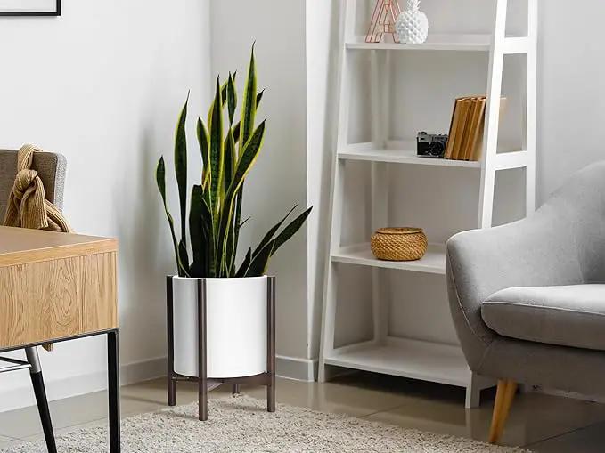 D'vine Dev Planter with Stand - 12 Inch Plastic Cylinder Flower Pot with Wood Holder for Indoor, Matte White Pot + Walnut Color Stand, 55-C-O-1, photo 6 of 7