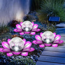 LEWIS&WAYNE Solar Garden Lights Outdoor, 3 Pcs Purple Lotus Flower Pathway Lamps with Cool White Crackle Glass Globe Led Lights for Patio Pathway Yard Balcony Garden Decorations by CozyNest Decor