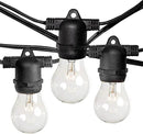 Hometown Evolution, Inc. E26 Commercial String Lights with 16 Gauge Wire (50 Foot 25 Socket, A15 15 Watt Clear Bulbs) by GreenHaven Gardens
