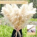 40" 22PCS Dried Pampas Grass Decor Tall,Large Natural Beige pompas Grass Tall Pampas Grass for Floor Vase,Wedding,Party,Farmhouse,Boho Home Decor,and Creating a Bohemian Ambiance by CozyNest Decor