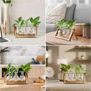 YIBOT Plants Propagation Stations,Desk Plant Terrarium with Retro Wooden Stand,Plant Lover Gifts for Women for Hydroponics Plants Home Garden Wedding Decor(3 Bulb Vase) by CozyNest Decor