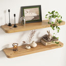 Rustic Elm Wood Floating Shelves for Wall Round Edge, 36"W x 9.2"D x 1.37"H, Set of 2 with Invisible Bracket, Wall Mounted Storage Shelves for Living Room Bedroom Kitchen Bathroom Decor, Natural by TinyTreasures Baby Boutique