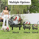 Personalized Garden Name Signs with Stake, Custom Red Bird Metal Decor Decorative Outside, Yard Outdoor Art Gift for Mom Grandmother, Patio House Warming Gifts New Home by CozyNest Decor