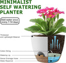 Plant Pots 10/9/8/7.5/7 Inch Self Watering Pots, Set of 5 Plastic Planters with Drainage Holes and Saucers,Plastic Flower Pots,Nursery Planting Pot for Indoor Out Door Plants（White） by GreenHaven Gardens