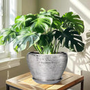 Flower Pot for Indoor Plants - Ceramic Planter 10 Inch Plant Pot with Drainage Hole and Saucer Large Decorative Planter Outdoor Mid-Century Planter for House Silver by GreenHaven Gardens