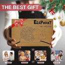 Outdoor Elephant Key Hider Statue - Cute Succulent Elephant Hide a Key Outdoor Decorative - Small Gift Box for Women, Home Decor & Elephant Gifts (Elephant) by GreenHaven Gardens