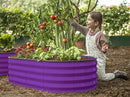 Galvanized Raised Garden Beds Outdoor // 4×2×1 ft (2-Pack) Planter Raised Beds for Gardening, Vegetables, Flowers // Large Metal Garden Box (Purple) // Patented Tool-Free Design by GreenHaven Gardens
