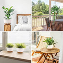 12/10/8 Inch Hanging Planter, Hanging Plastic Plant Self Watering Pot with Drainage Holes and Saucers, Hanging Baskets Flower Pots for Indoor Outdoor Garden Plants and Flowers,Set of 3-White by GreenHaven Gardens