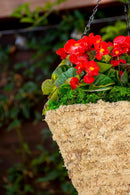SuperMoss (29247D MossWeave Hanging Basket | Outdoor Hanging Planter with Moss | Decorative Plant Hanger for Porch, Balcony, Garden & Home Décor, Pyramid, Small 12.5” D, Blond by GreenHaven Gardens