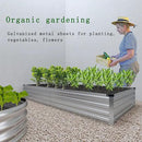 Galvanized Raised Garden Bed,2 Pcs 12×4×1FT Metal Planting Box for Outdoor Vegetable, Herb,Planter Gardening (Silver) by GreenHaven Gardens
