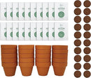 BUZZY Seeds Spruce Terracotta Mini Grow Pots | Tree Starter Kit for Kids & Adults | Bulk 20-Pack | Guaranteed to Grow | Best Indoor Grow Your Own Gardening Gift | Craft & Classroom Projects by GreenHaven Gardens