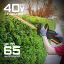 40V 21.6" Battery Hedge Trimmer, 0.7" Cutting Diameter Cordless Hedge Trimmer, Dual Action Blade Power Hedge Trimmers, Electric Hedge Trimmer with Battery & Charger Included by GreenHaven Gardens