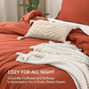 Litanika Burnt Orange California King Comforter Set - 3 Pieces Terracotta Cal King Lightweight Soft Solid Bed Comforter, Oversized Fluffy Quilt Blanket Bedding Set (104x96In, 2 Pillowcases) by CozyNest Decor