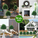 20" Artificial Cedar Topiary Ball Trees with Ground Spike, 2 Pack UV Resistant Artificial Shrubs, Fake Evergreen Artificial Plant Brush for Indoor Outdoor Front Porch Garden by GreenHaven Gardens