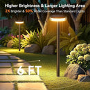 LETMY Solar Pathway Lights Outdoor, 6 Pack 2X Brighter Solar Lights Outdoor Waterproof, Taller Pathway Light with Larger Panel, Auto On/Off Up to 12Hrs Driveway Light for Yard Outside Patio Path Lawn by CozyNest Decor