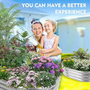 Durable-0.8MM Thick,Crimped Edge 5X2.7X1 FT Oval Galvanized Steel Raised Garden Bed/Galvanized Metal Planter Box for Planting in The Backyard/Garden(Silver, 60X32X12 Inches) by GreenHaven Gardens