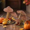 winemana 2 Pack Mushroom Fall Decor - Handmade Woven Mushrooms Figurines, Rustic Farmhouse Table Centerpieces for Thanksgiving, Autumn Home, Shelf & Kitchen Decor by CozyNest Decor