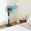 Amazon Basics 16" Pedestal Fan with Remote, Floor Fan, Standing Fan for Bedroom, Living Room, Office, with 3 Speeds, 3 Modes, Timer, Dual-Layered Blades, Adjustable Height, Tilt Head, 60W, Black by CozyNest Decor