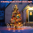 19.3in Christmas Solar Candy Cane Lights, 20 Pcs Pathway Light with Snowflake 8 Flashing Modes, Outdoor Christmas Decorations for Outside Path, Walkway, Driveway, Sidewalk, Porch, Yard, Garden by GreenHaven Gardens