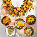 22 Inches Fall Wreaths for Front Door Rustic Autumn Wreath Farmhouse Fall Floral Wreaths with Tulips Orange Wildflowers for Wall Window Porch Indoor Outside by CozyNest Decor