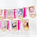pinkblume 1st Birthday Burlap Photo Banner Garland Handmade Felt from Newborn to 12 Months with Gradient Pink Ribbon for Baby Girl Monthly Milestones First Birthday Party Decorations Supplies by TinyTreasures Baby Boutique