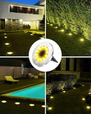 Biling Solar Ground Lights Outdoor 8 Packs, Bright 12 LEDs Solar Lights Outdoor Waterproof, Flat Landscape Lights Solar Powered for Yard Walkway Garden Driveway (Warm White) by GreenHaven Gardens