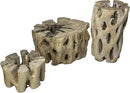 3 Natural Cholla Wood Air Plant Display Holders Tiered 1, 2 & 3 inch Individually Unique Round Decorative Stands by GreenHaven Gardens