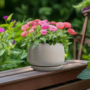 G EPGardening Ceramic Plant Pots - Round 6 Inch Modern Planter with Drainage and Plant Saucer Indoor Outdoor for Flower, Garden Decor, Gifts for Home, Retro Gray by GreenHaven Gardens