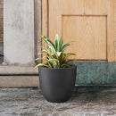 Kante 14 Inch Dia Round Concrete Planter, Indoor Outdoor Large Plant Pot with Drainage Hole and Rubber Plug for Home Patio Garden, Black by GreenHaven Gardens